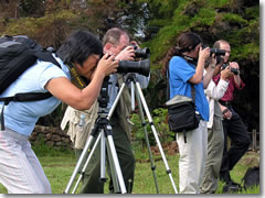 Professional photographers often use tripods to get those perfect, steady, un-blurred shots