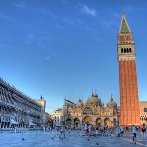 The pigeons of St. Mark's Square in Venice